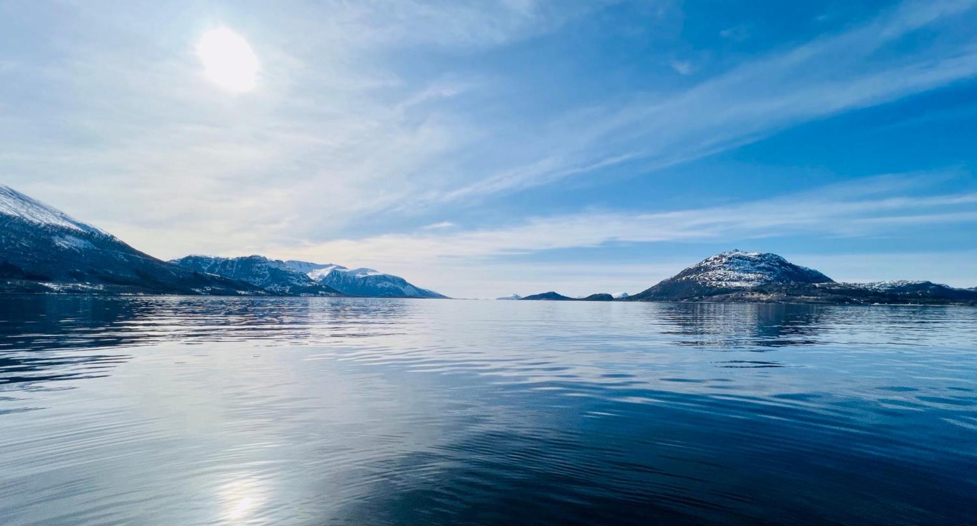 Apartment Awesome Fishing, Boating And Nature Experience At Fiskesenter Birkeland Rekdal