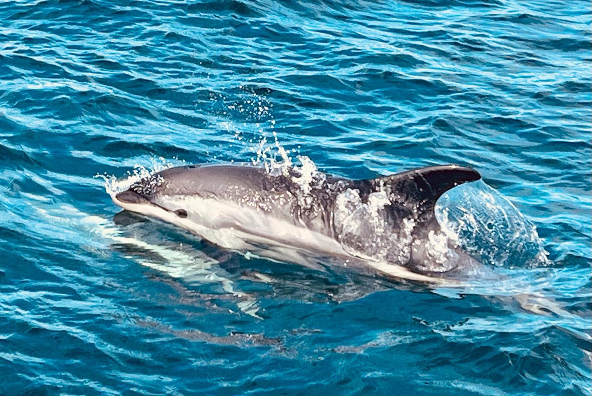 Awesome Fishing, Boating And Nature Experience At Fiskesenter Birkeland *