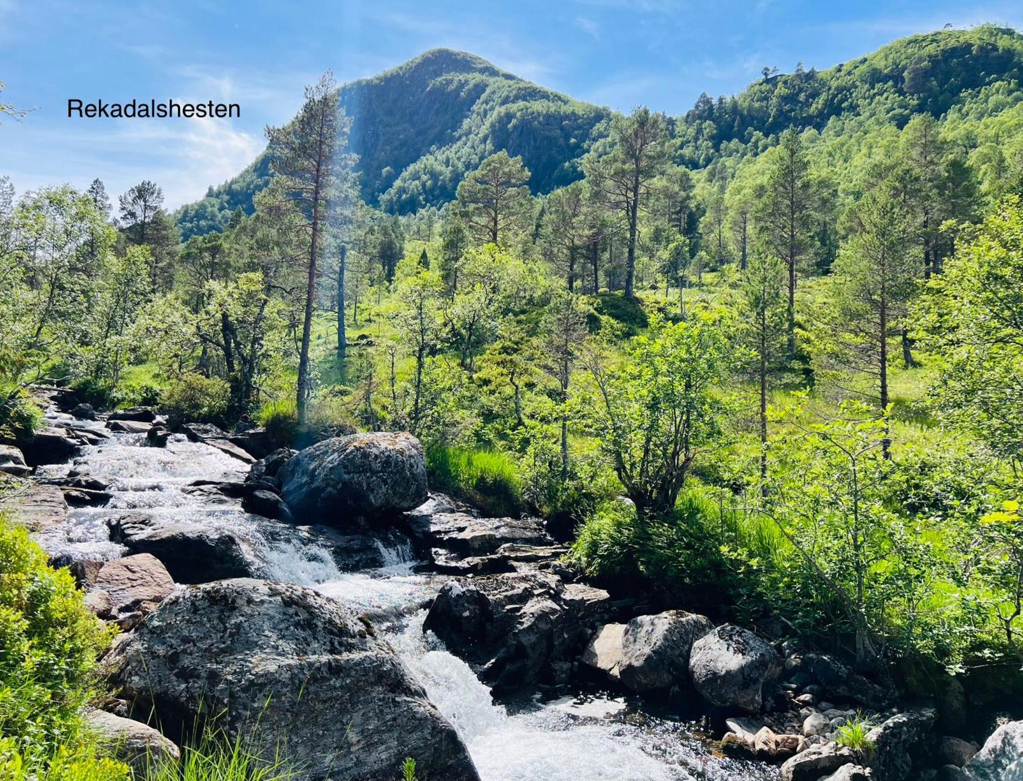 Awesome Fishing, Boating And Nature Experience At Fiskesenter Birkeland Apartment