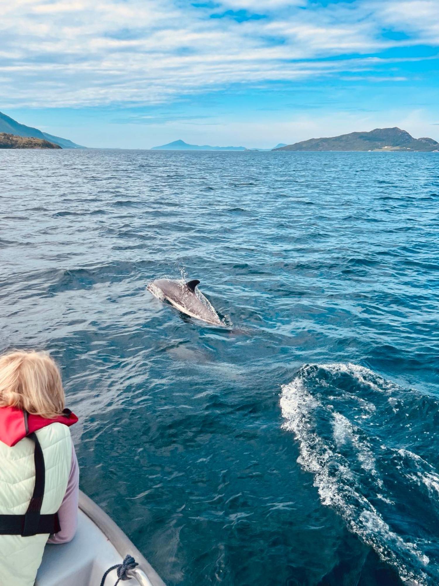 Awesome Fishing, Boating And Nature Experience At Fiskesenter Birkeland Apartment *