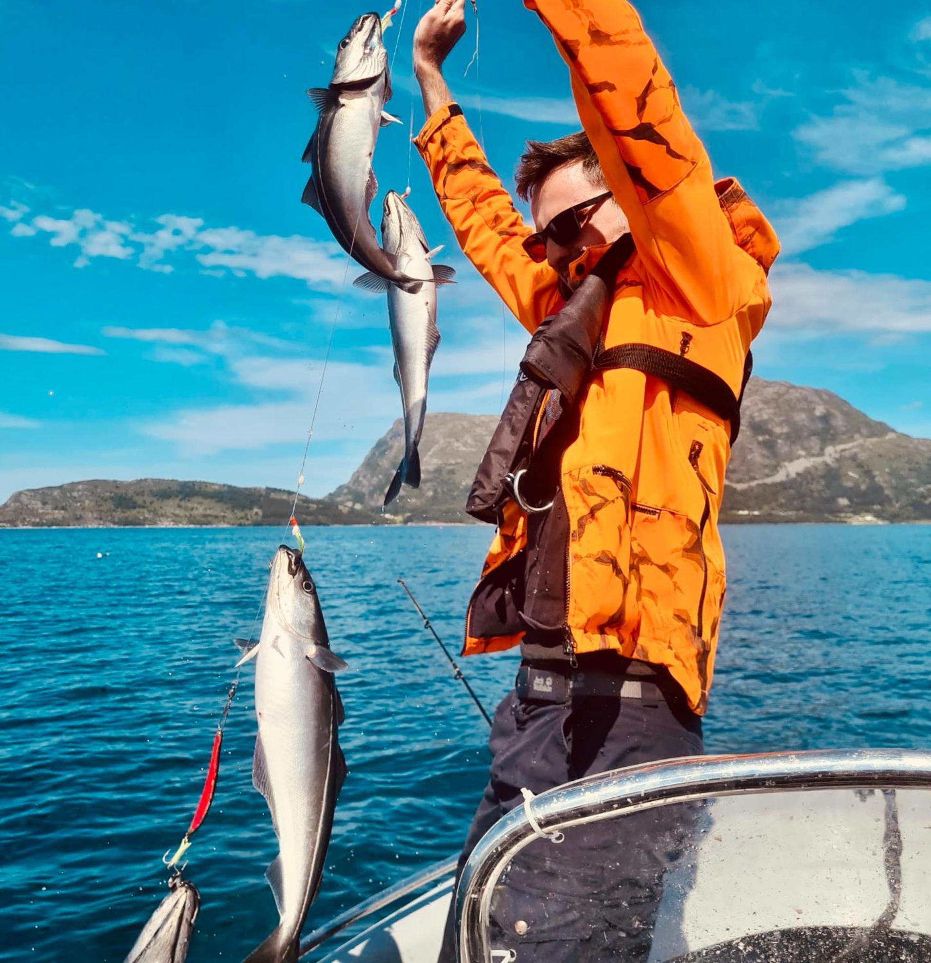 Apartment Awesome Fishing, Boating And Nature Experience At Fiskesenter Birkeland Rekdal